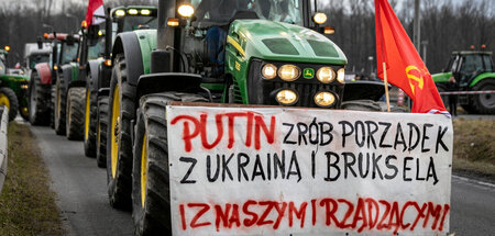 »Putin, schaff Ordnung mit der Ukraine, Brüssel und unseren Regi...