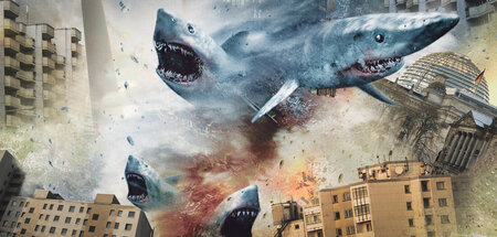 Können nicht genug kriegen: Große Fische auf dem Wohnungsmarkt Können nicht genug kriegen: Große Fische auf dem Wohnungsmarkt