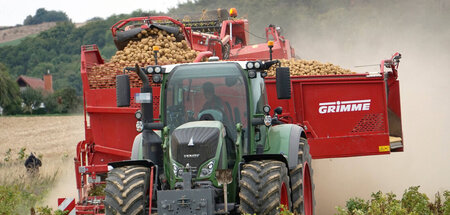 Kleinere Betriebe mit regionaler Vermarktung im Nachteil: Kartof... Kleinere Betriebe mit regionaler Vermarktung im Nachteil: Kartof...
