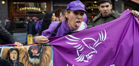 Milei-Fans provozieren Gegendemonstranten während eines Auftritt... Milei-Fans provozieren Gegendemonstranten während eines Auftritt...