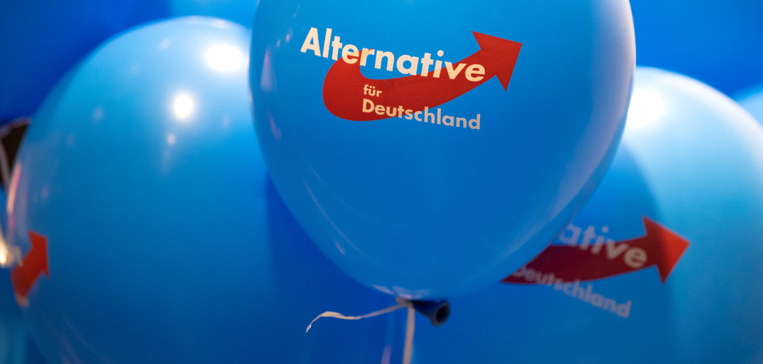 21.09.2020: AfD-Parteitag in Sachsen-Anhalt (Tageszeitung ...