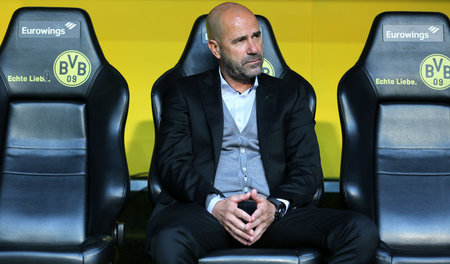 Alles nur mangelnde Aggressivität? BVB-Trainer Peter Bosz hat na...