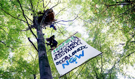 Mit seinem einzigartigen Ökosystem gehört der Hambacher Wald zu ...