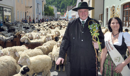 Wolle, Schaf im Schafspelz, amtierende Wollkönigin: Ein Idyll au...