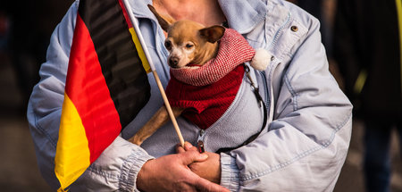 Kandel in Rheinland-Pfalz, 3. März: Vorm Hunde-Dschihad gerettet...