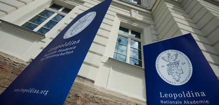 Früher nie gehört, plötzlich die Autorität: Die Wissenschaftsaka...