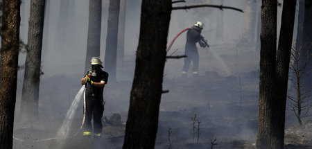 Waldbrände wie dieser bei Harmelingen 2010 sind nicht die einzig...