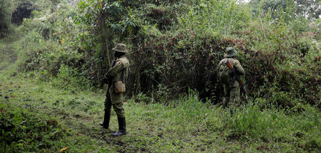Parkranger bewachen Touristen im Virunga Nationalpark in der Dem...