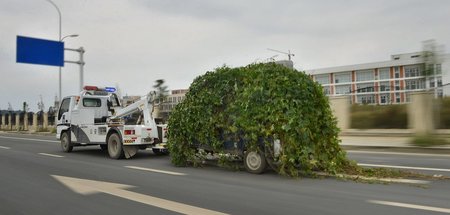 Solche Fälle häufen sich: Mit Laub zugewachsene Autos