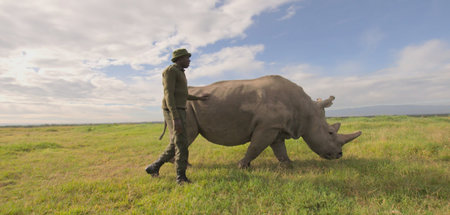 »Sie spüren, dass sie aussterben«: Ranger James Mwenda mit Fatou...