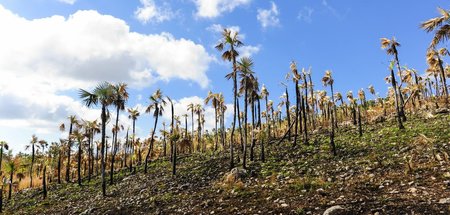 Auswirkungen des Klimawandels auf Kuba: Während der Meeresspiege...