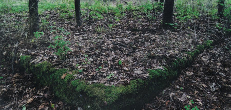 Die Reste des Fundaments einer Baracke auf dem Gelände des frühe...