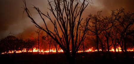 Waldbrand in der Nähe der Hauptstadt Brasília am 5. September 20...