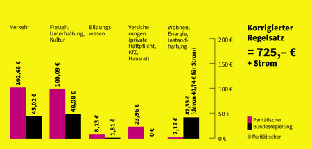 Regelbedarfe 2023 (Singlehaushalt): Bundesregierung vs. Paritäti... Regelbedarfe 2023 (Singlehaushalt): Bundesregierung vs. Paritäti...