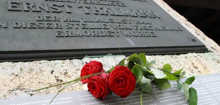 Rote Rosen an der Gedenktafel für Thälmann vor dem Krematorium i...