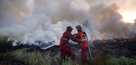 Waldbrand in der Provinz Sumatra Selatan im Juni 2022