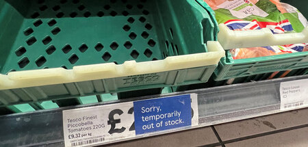 Heute keine Tomaten. Supermarkt in London