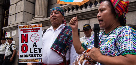 Sagen Nein: Bäuerinnen und Bauern protestieren in Guatemala City...