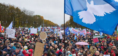 Zwischen 10.000 und 20.000 Menschen folgten dem Aufruf zum Prote...