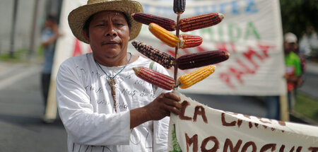 El Salvador: Protest für die Rechte Indigener (San Salvador, 26....