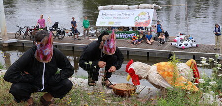 Floß-mit-Hühnern-und-Kuh-Foto-Christina-Albrecht-ROBIN-WOOD-Mag