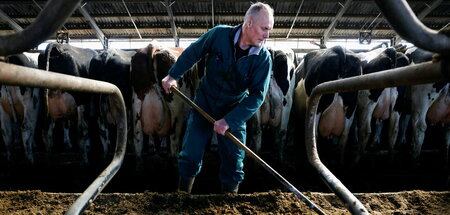 Ausmisten: Wird wohl seinen Stallbestand verkleinern müssen (Old...