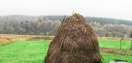 Heuhaufen: Schlecht, Kirchen drauf zu bauen, gut, Nadeln drin zu...