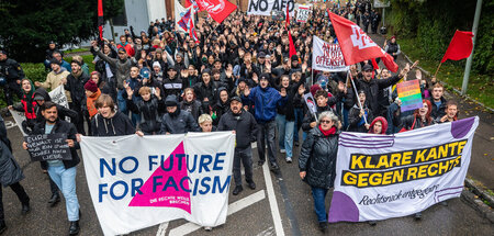 Demonstranten am Sonnabend in Ulm