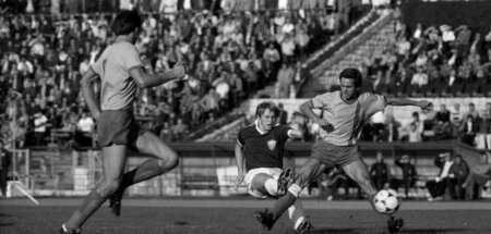 Der Jahn-Sportpark am 29. September 1979: BFC Dynamo gegen FC Vo...