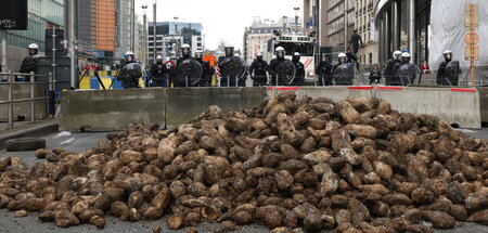 EUROPE-FARMERS-EU-PROTESTS.JPG