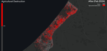 Die israelische Armee hat Gaza systematisch in eine lebensfeindl...