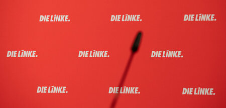 Die_Linke_83197260.jpg