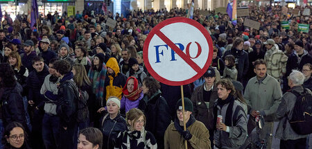 Proteste halfen nichts: Gleich zweimal nacheinander hat die FPÖ ...