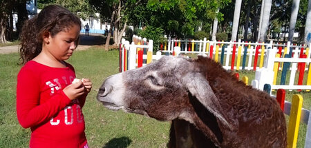 Tierische Unterstützung: Eselin Rocío war bei den Kindern besond...