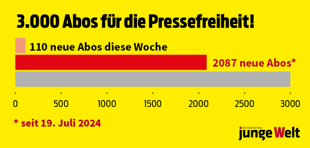 Balkendiagramm 3000 Abos 1100x526 20-12-2024r.png