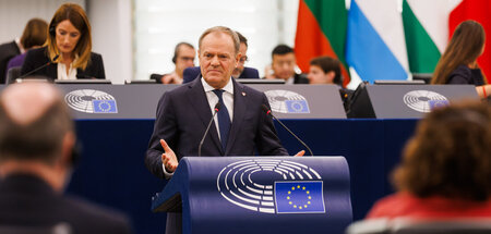 Donald_Tusk_84785135.jpg