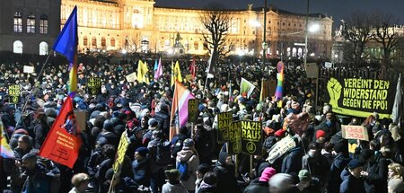 Demonstration_in_Wie_84928732.jpg