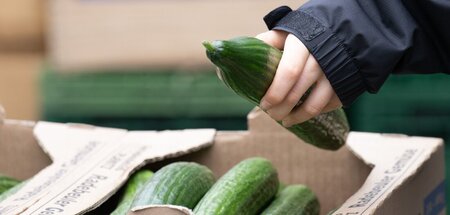 Genug ist genug: Bei diesen Preisen würde Gaby protestieren! Genug ist genug: Bei diesen Preisen würde Gaby protestieren!