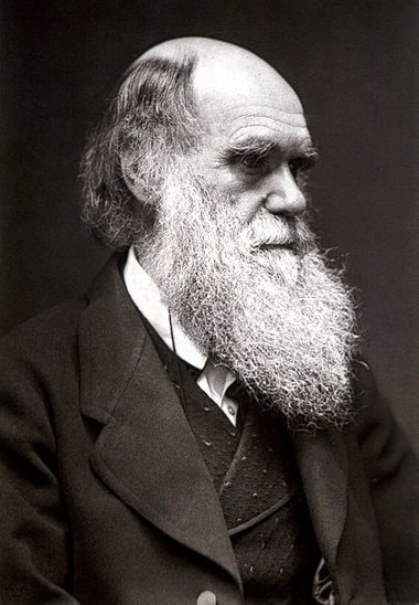 Seriöser Schweiger: Charles Darwin (12.2.1809–19.4.1882 / Foto v...