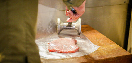 Gegen Ende des Pleistozäns brachten tasmanische Seefahrer das Sc... Gegen Ende des Pleistozäns brachten tasmanische Seefahrer das Sc...