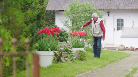 Es blühe rot: Egon Krenz in seinem Garten Es blühe rot: Egon Krenz in seinem Garten