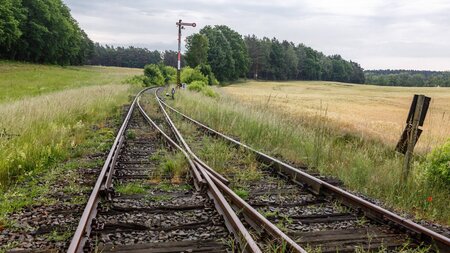 Die Wriezener Bahn ließe sich doch hervorragend quersubventionie... Die Wriezener Bahn ließe sich doch hervorragend quersubventionie...
