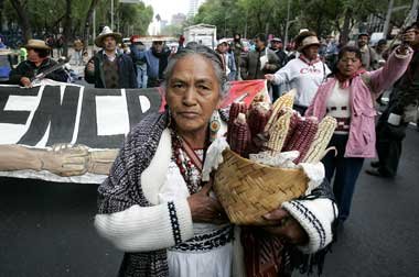 Bauernproteste in Mexico City gegen die Aufhebung von
Importbesc...