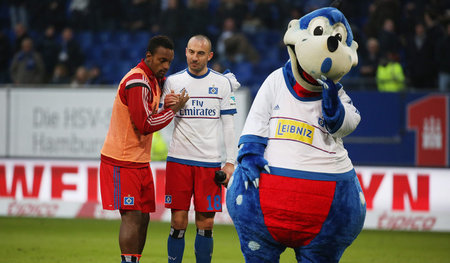 In der Partie gegen Ingolstadt steht Hamburgs Maskottchen »Herma...