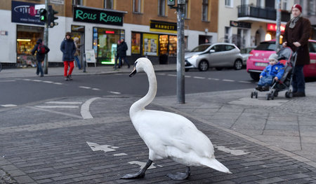 Begegnung nach StVO (Bergmannstraße im Winter 2015)