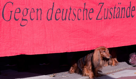 Die Langhaarigen mal wieder ...